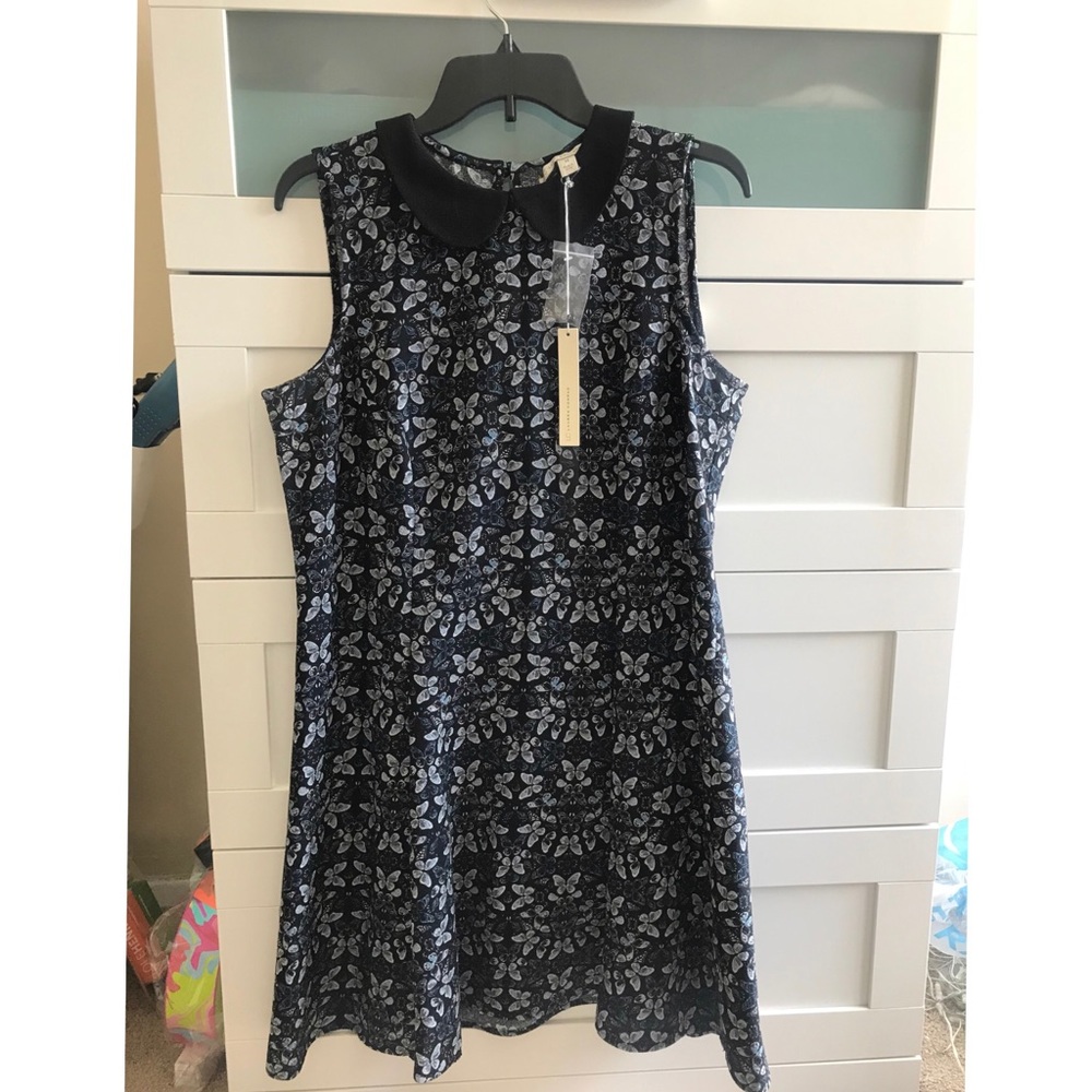 Cute little dress from LC Lauren Conrad